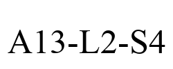 A13-L2-S4