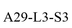 A29-L3-S3