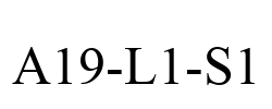 A19-L1-S1