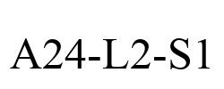 A24-L2-S1