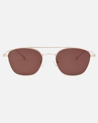 Distinctive men's sunglasses in brown