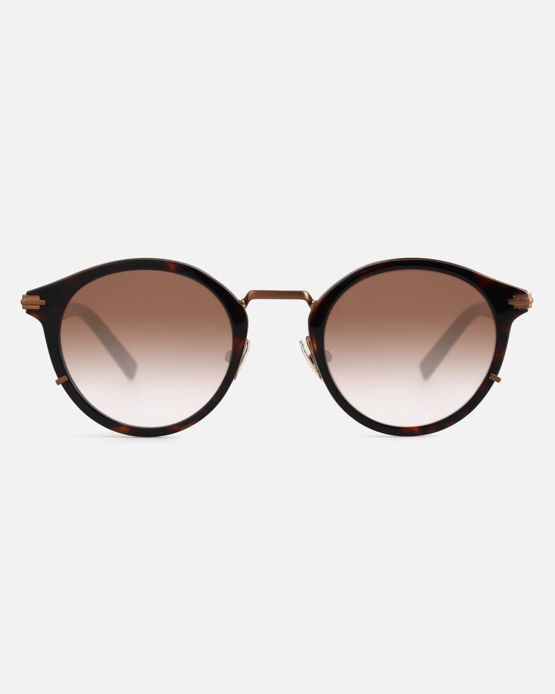 Classic Sunglasses Brown