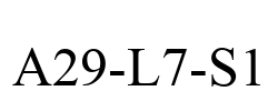 A29-L7-S1