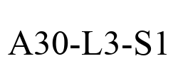 A30-L3-S1