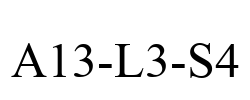 A13-L3-S4