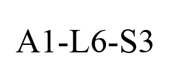 A1-L6-S3