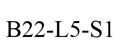 B22-L5-S1
