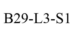 B29-L3-S1