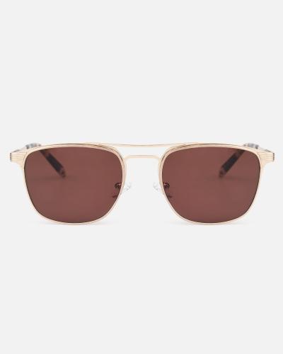 Classic brown men's sunglasses