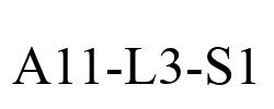 A11-L3-S1
