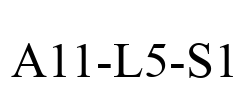 A11-L5-S1