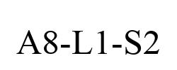 A8-L1-S2