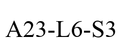 A23-L6-S3