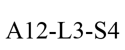 A12-L3-S4