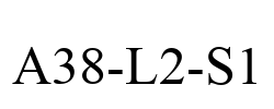 A38-L2-S1