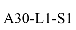A30-L1-S1