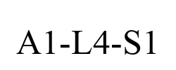 A1-L4-S1