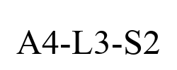A4-L3-S2