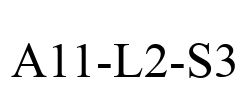A11-L2-S3 A11-L2-S3