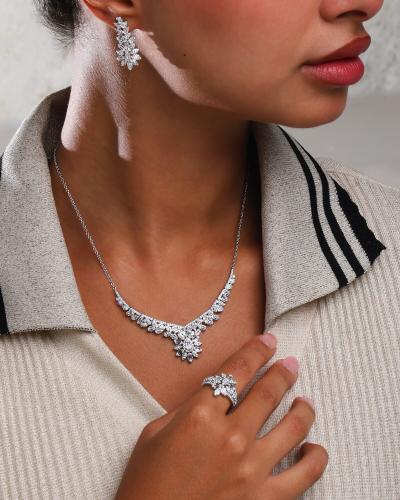 A distinctive women's accessory set in silver