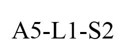 A5-L1-S2
