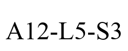 A12-L5-S3
