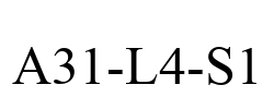 A31-L4-S1