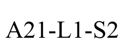 A21-L1-S2