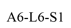 A6-L6-S1