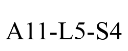 A11-L5-S4