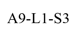 A9-L1-S3