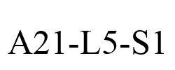 A21-L5-S1