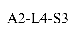 A2-L4-S3