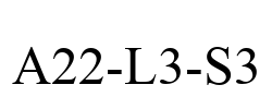 A22-L3-S3