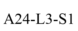 A24-L3-S1