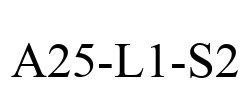 A25-L1-S2