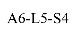A6-L5-S4