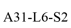 A31-L6-S2