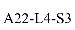 A22-L4-S3