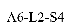 A6-L2-S4