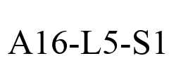 A16-L5-S1