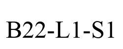 B22-L1-S1