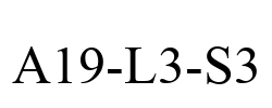 A19-L3-S3