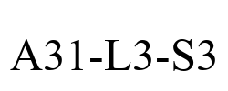 A31-L3-S3