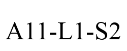 A11-L1-S2