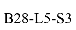 B28-L5-S3