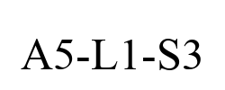 A5-L1-S3