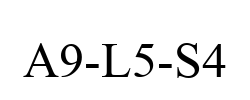A9-L5-S4