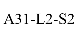A31-L2-S2