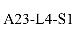 A23-L4-S1
